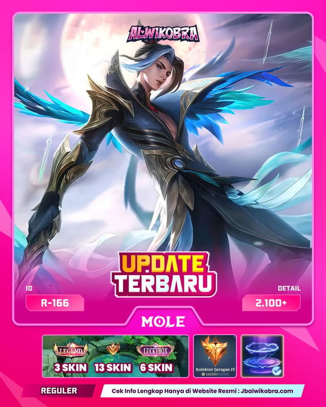 MLBB R166