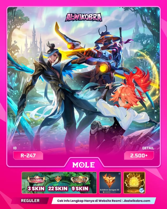 MLBB R247 — MLBB — Reguler