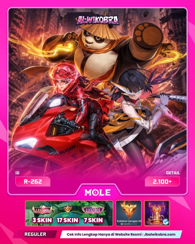 MLBB R262 — MLBB — Reguler